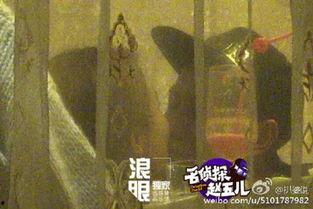 杨紫狗仔爆料视频播放  第2张