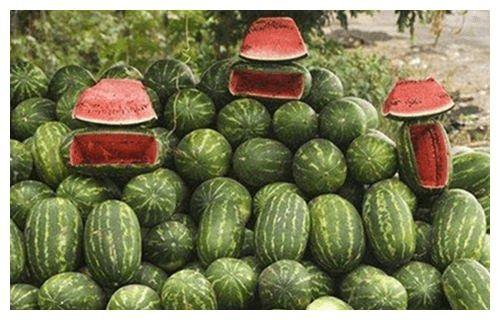 路边摊免费吃瓜,街头美食盛宴等你来尝  第2张